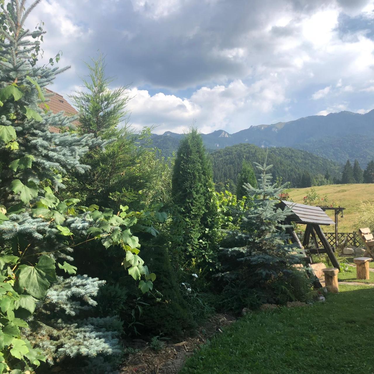 Hot Tub Chalet Retreat Villa Brasov Ngoại thất bức ảnh