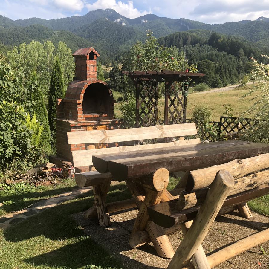 Hot Tub Chalet Retreat Villa Brasov Ngoại thất bức ảnh